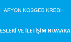 Kosgeb Afyon Adresleri ve İletişim Numaraları