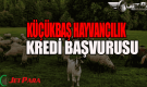 Küçükbaş Hayvan Kredisi Başvurusu Nasıl Yapılır?